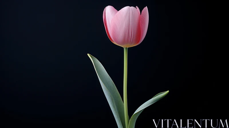 AI ART Pink Tulip Bloom - Serene Floral Beauty