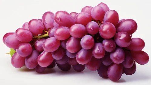 Ripe Juicy Purple Grapes with Water Drops