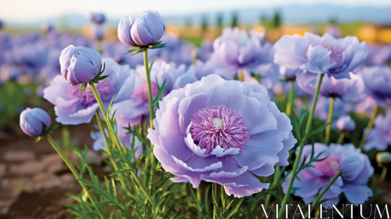 Purple Peonies in Full Bloom - Floral Close-Up AI Image
