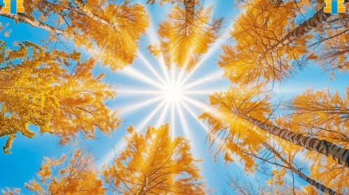 Golden Trees and Sunlight: Nature's Beauty Captured
