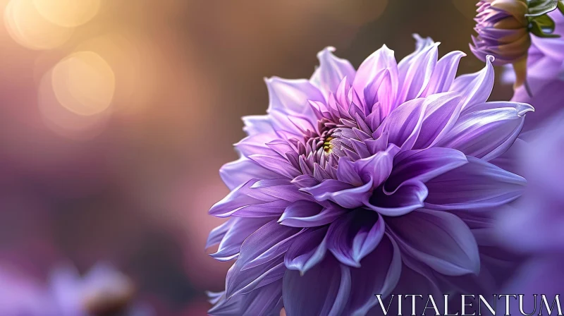 AI ART Purple Dahlia Flower Close-Up - Nature Beauty