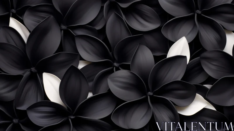 Black and White Plumeria Flowers 3D Rendering - Patterns AI Image