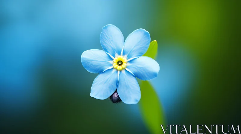 Delicate Blue Flower with Yellow Center Close-Up AI Image