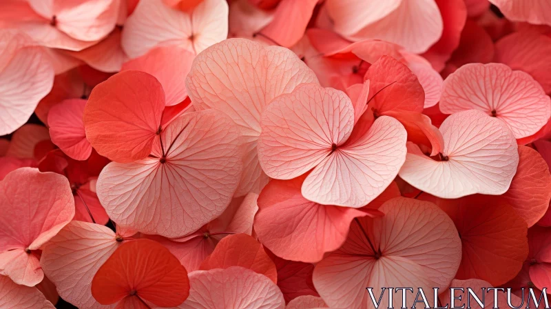 AI ART Pink Flower Petals Spiral Studio Close-Up