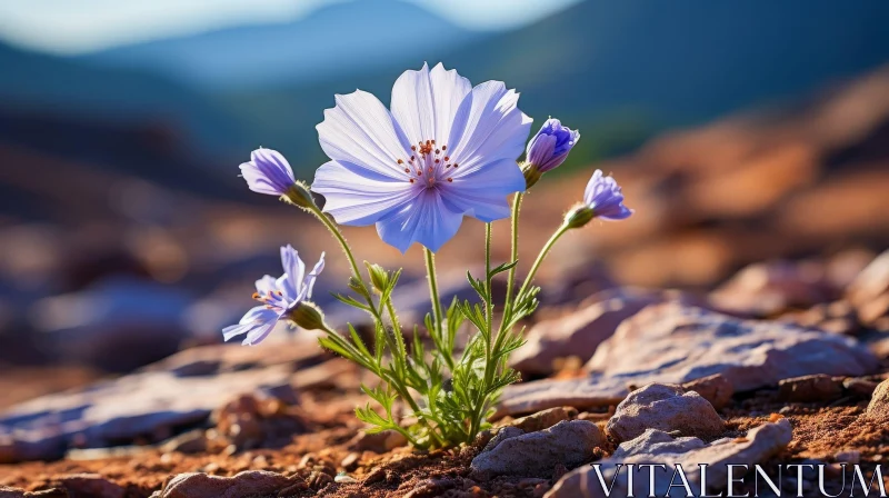 Purple Flower Close-Up in Desert with Mountain Background AI Image
