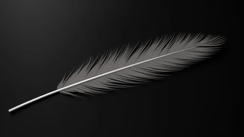 Elegant White Feather on Black Background