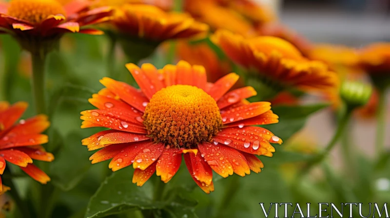 Serene Orange Flower with Raindrops: Close-up Beauty AI Image