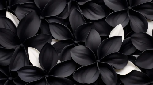 Black and White Plumeria Flowers 3D Rendering - Patterns
