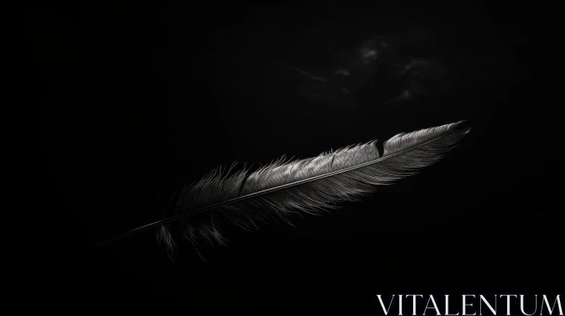 Delicate Black Feather on Dark Background AI Image