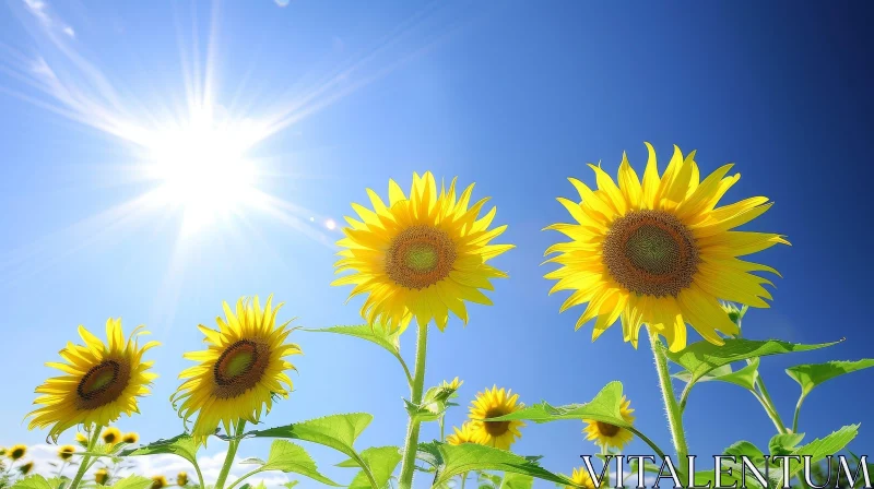 Sunflower Field Beauty AI Image