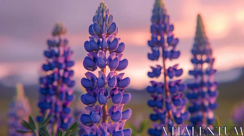 Purple Lupine Flower Close-up in Field AI Image