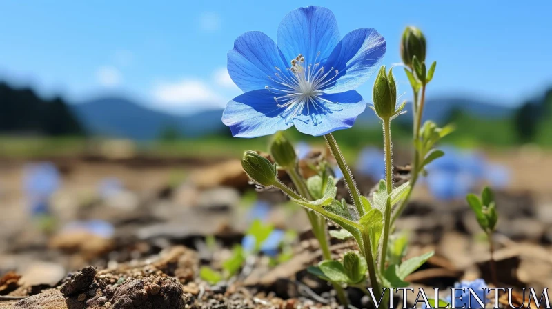 Blue Flower Bloom Close-up in Meadow AI Image