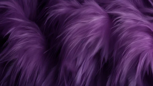 Purple Fluffy Feathers Texture Background