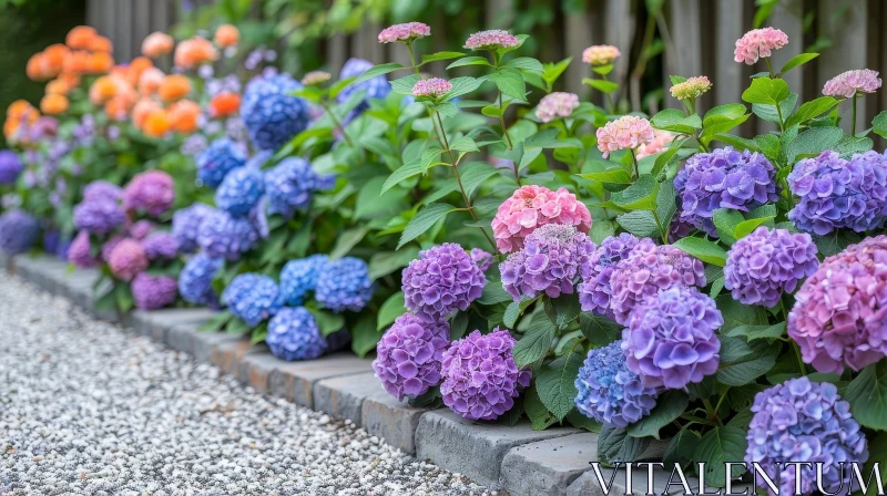 Colorful Hydrangea Garden - Beautiful Flower Scene AI Image