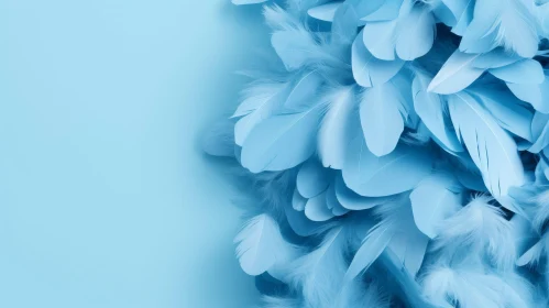 Blue Feathers on Blue Background