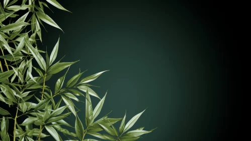 Dark Green Willow Leaves Background