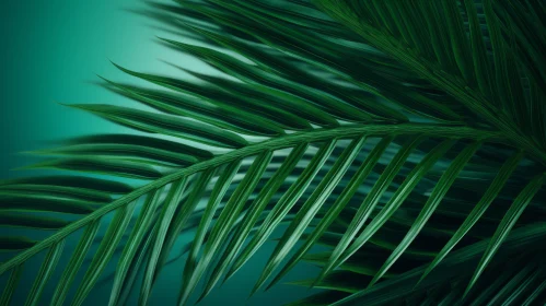 Green Palm Leaf Close-up - Glossy Texture