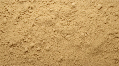 Rippled Fine-Grained Sand Close-Up