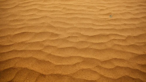 Detailed Sand Dune Landscape with Waves
