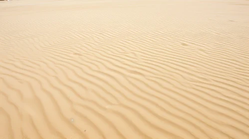 Tranquil Sand Dune Landscape