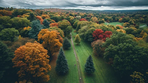 Fall Park Aerial View: Serene Nature Beauty