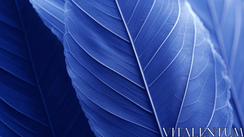 Blue Leaf Texture Close-up on Dark Background AI Image