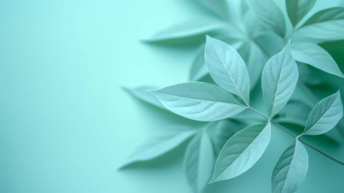 Dark Green Leaves on Pale Green Background