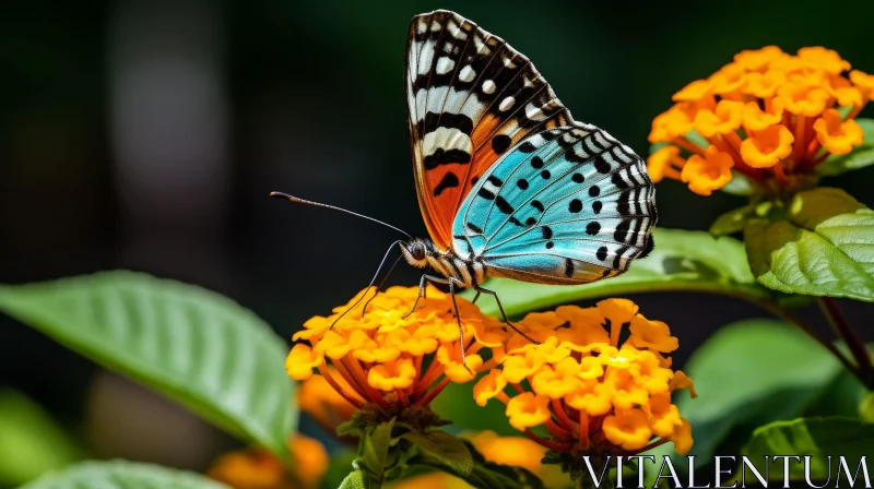 Blue and Orange Butterfly on Lantana Camara Flower AI Image