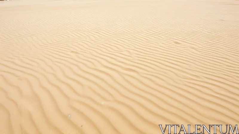 Tranquil Sand Dune Landscape AI Image