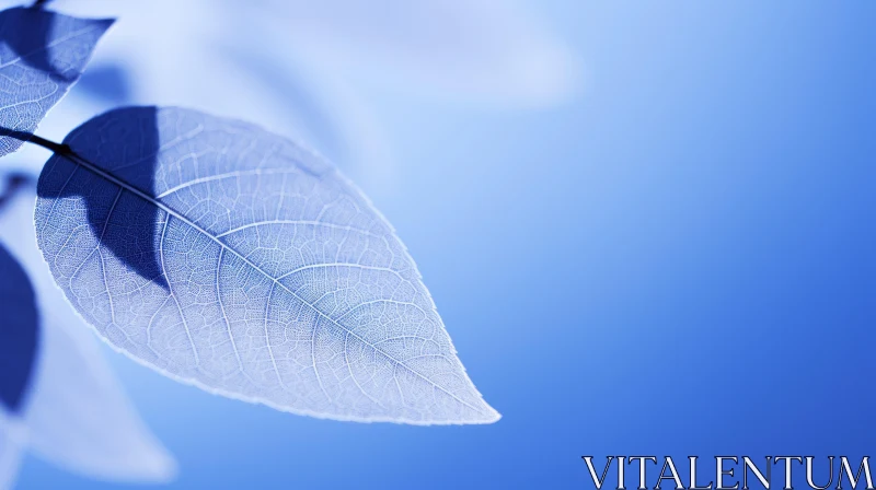 AI ART Blue Leaf Close-up on White Background