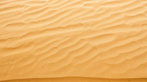 Sunlit Sand Dune - Natural Beauty