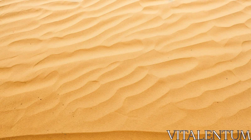 AI ART Sunlit Sand Dune - Natural Beauty