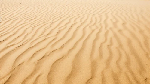 Sand Dune Landscape in Desert