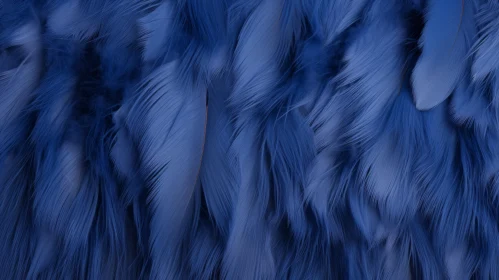 Blue Feathers Texture Background Close-up | Artistic Textures