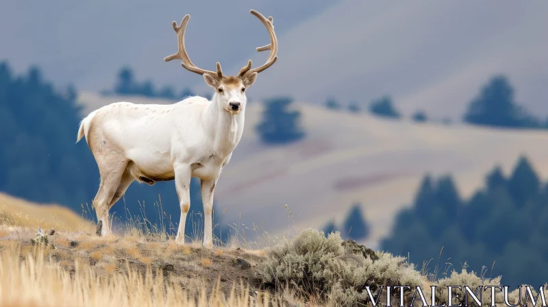 AI ART Majestic White-Tailed Deer in Nature