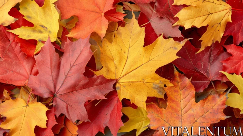 AI ART Autumn Maple Leaves Close-up - Colorful Nature Image