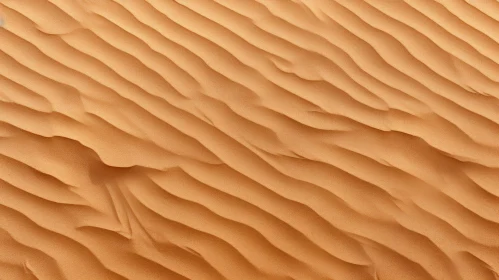 Rippled Sand Dune Texture
