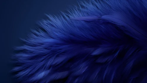 Blue Feather Close-Up | Detailed Fluffy Structure