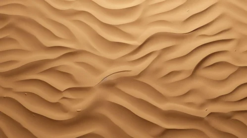 Tranquil Sand Dune Scene