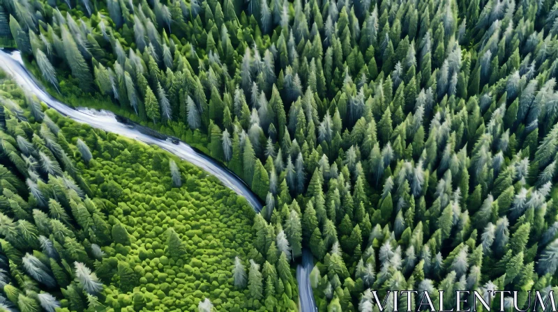 AI ART Serene Forest Road Aerial View