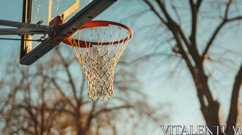 Basketball Hoop with Net and Glass Backboard AI Image