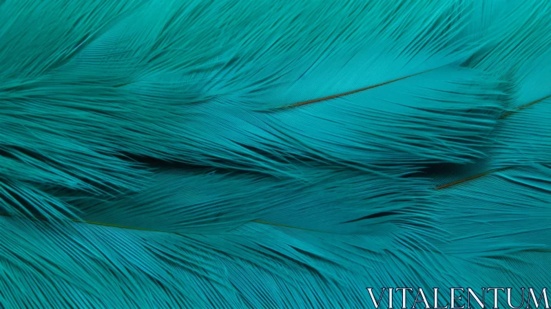 AI ART Turquoise Feather Background - Close-Up Beauty