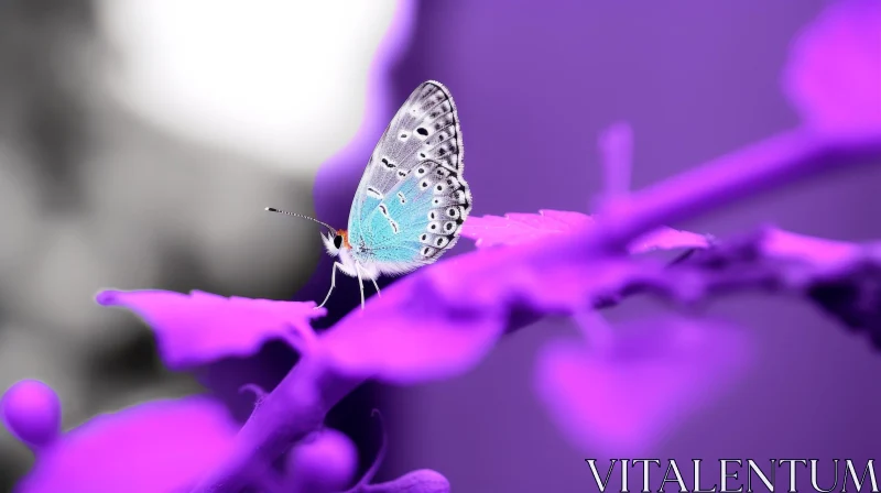 AI ART Blue and White Butterfly on Purple Flower - Close-up Nature Shot