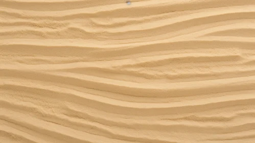 Detailed Sand Surface Close-Up