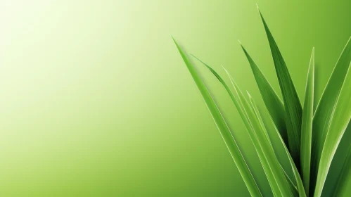 Green Plant Close-Up with Glossy Leaves