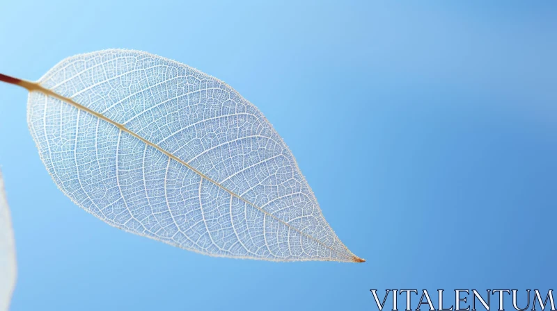 Intricate White Leaf on Blue Background AI Image