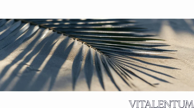 Tranquil Palm Leaf Shadows on Sand AI Image