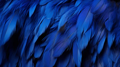 Blue Feathers Close-Up - Tropical Bird Texture Background
