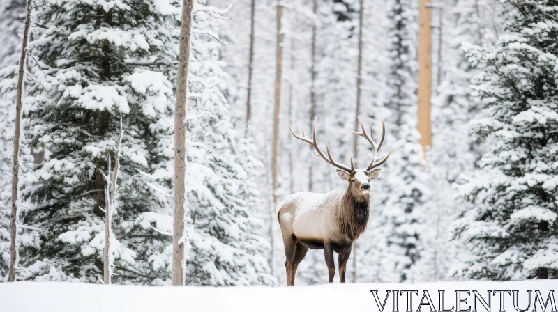 AI ART Majestic Elk in Snowy Forest - Wildlife Photography