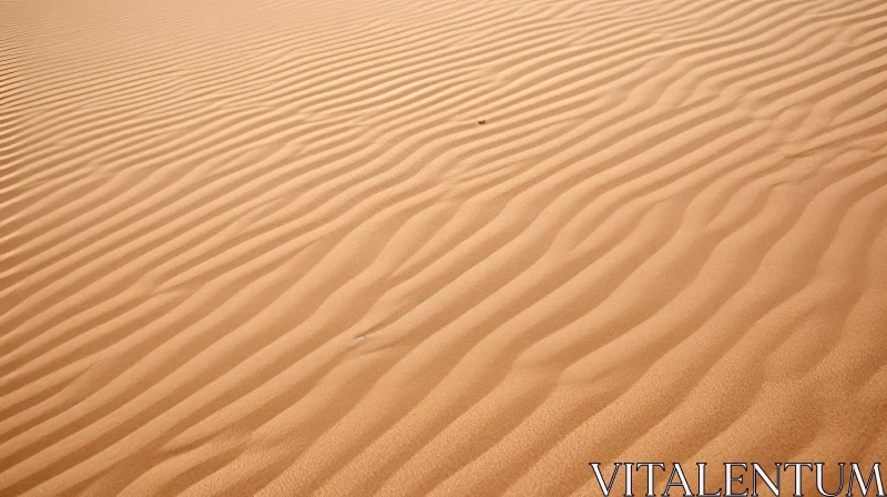 Tranquil Sand Dune in Desert AI Image